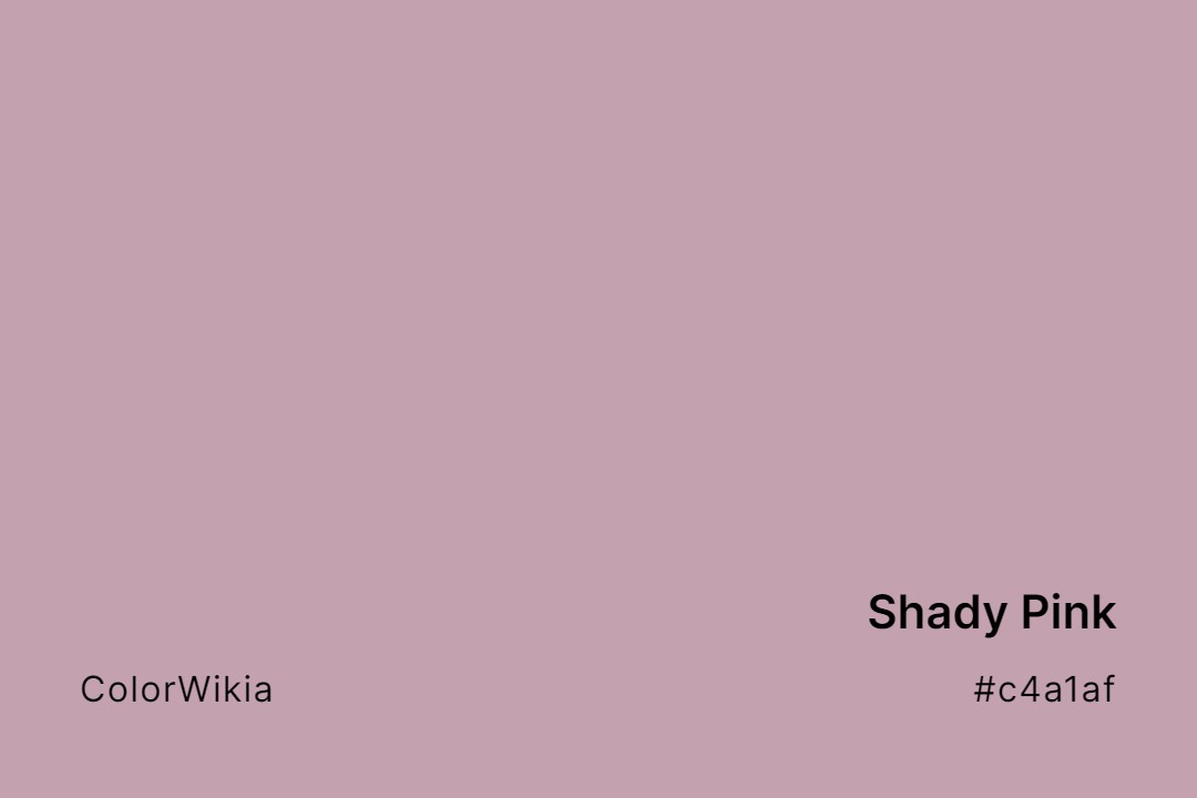 Shady Pink Color – #c4a1af: Codes and Complete Breakdown