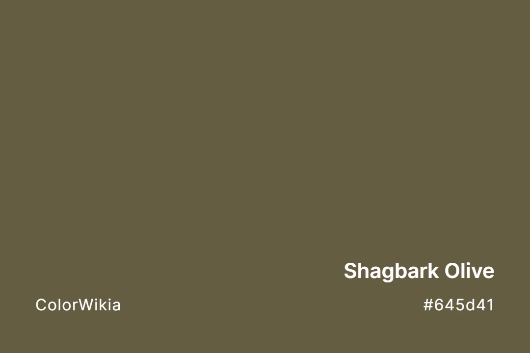 Shagbark Olive Color – #645d41: Codes and Complete Breakdown