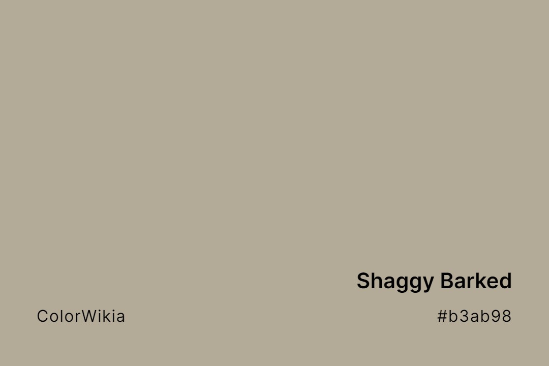 Shaggy Barked Color – #b3ab98: Codes and Complete Breakdown