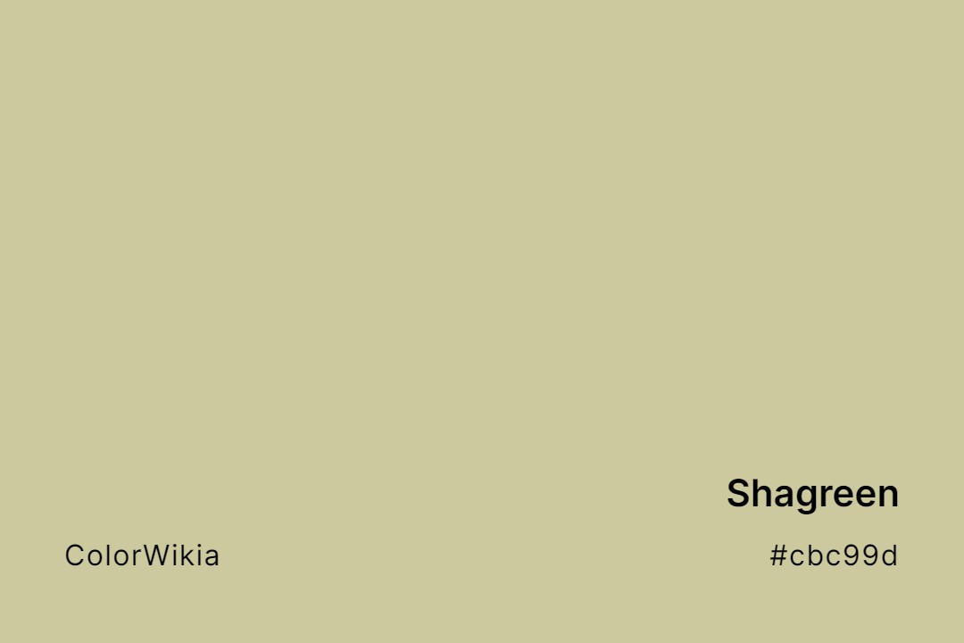 Shagreen Color – #cbc99d: Codes and Complete Breakdown