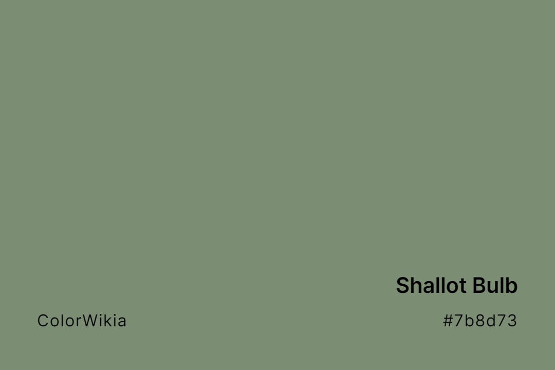 Shallot Bulb Color – #7b8d73: Codes and Complete Breakdown