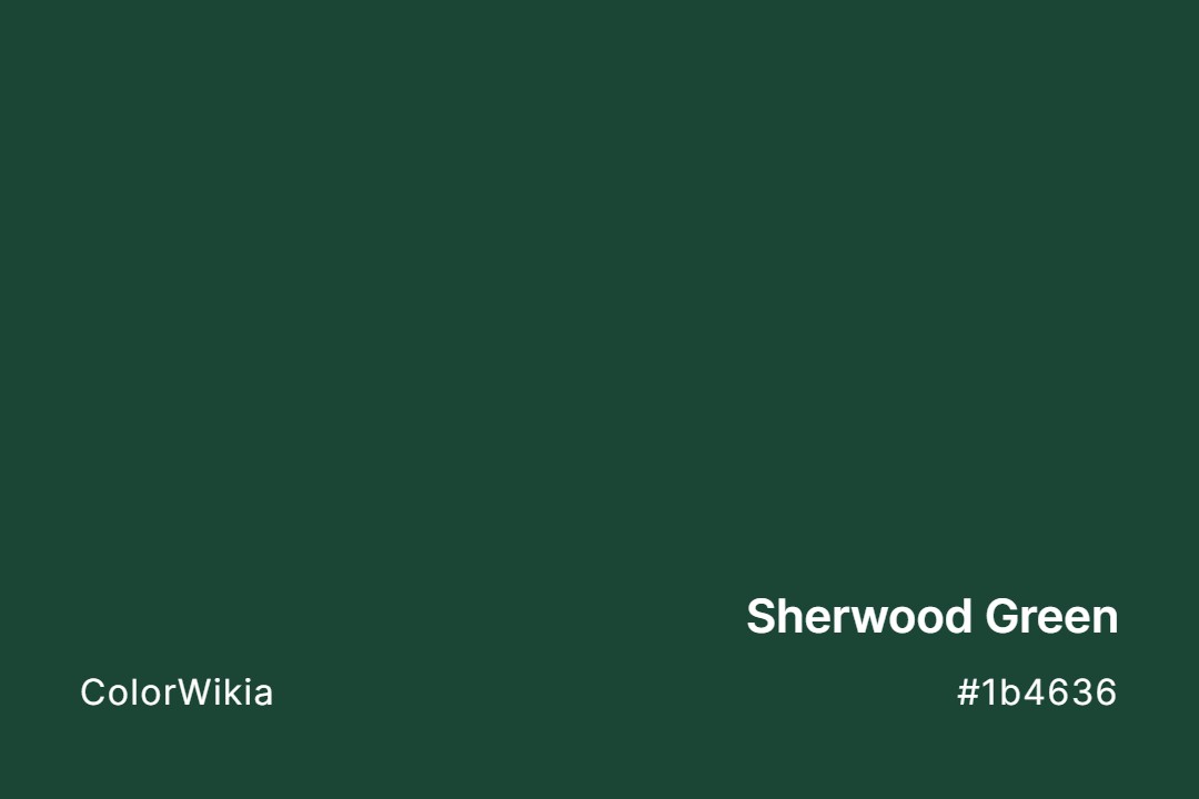 Sherwood Green Color – #1b4636: Codes and Complete Breakdown