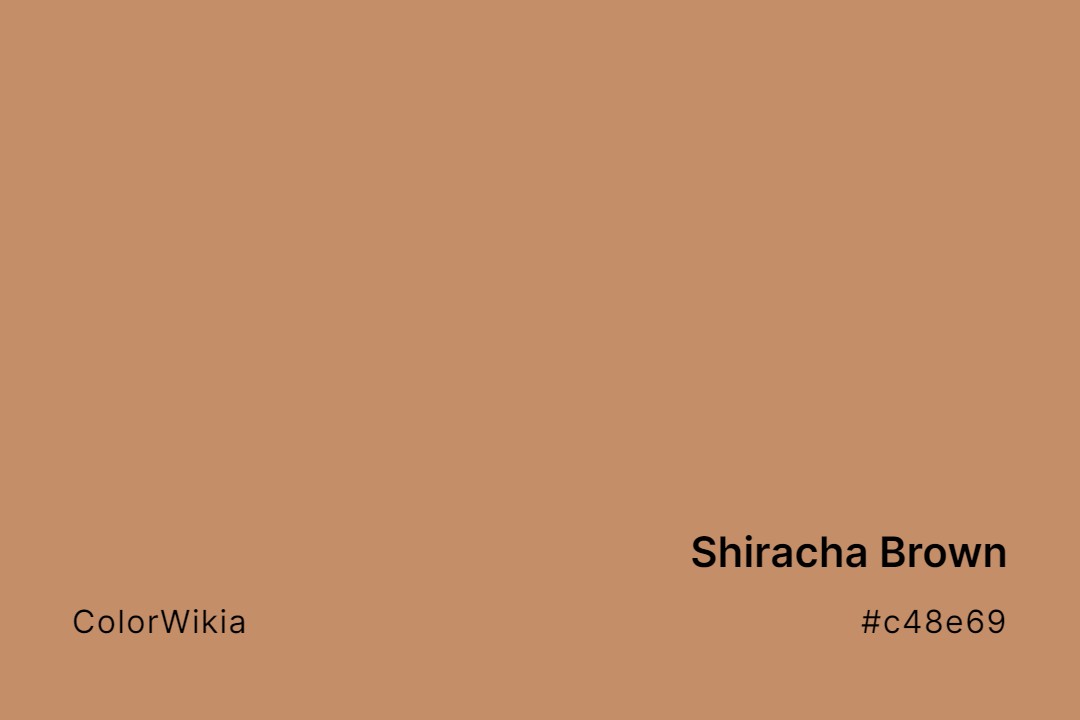 Shiracha Brown Color – #c48e69: Codes and Complete Breakdown