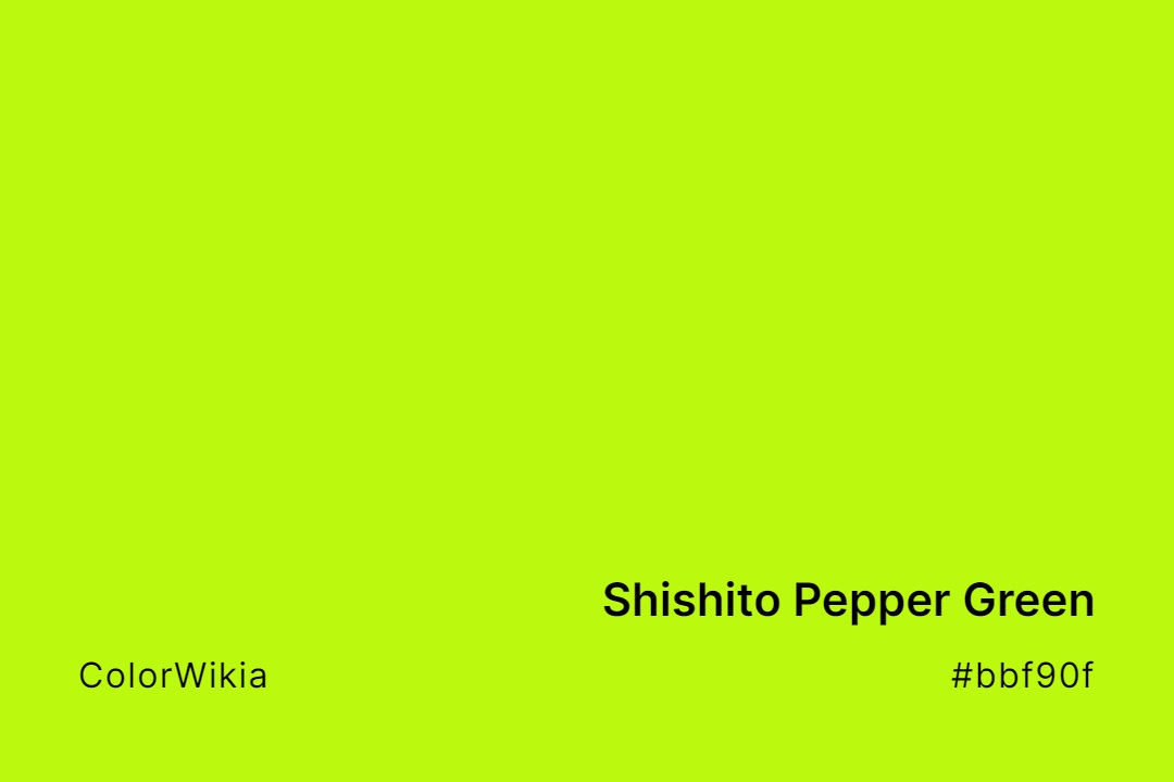 shishito pepper green color bbf90f