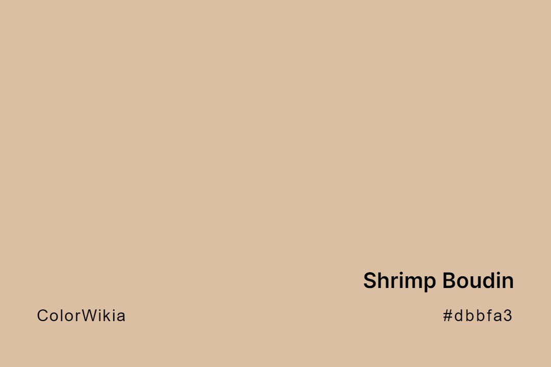 shrimp boudin color dbbfa3