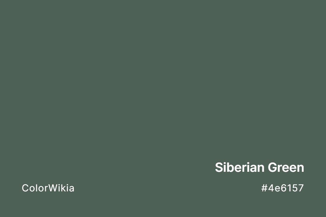 Siberian Green Color – #4e6157: Codes and Complete Breakdown