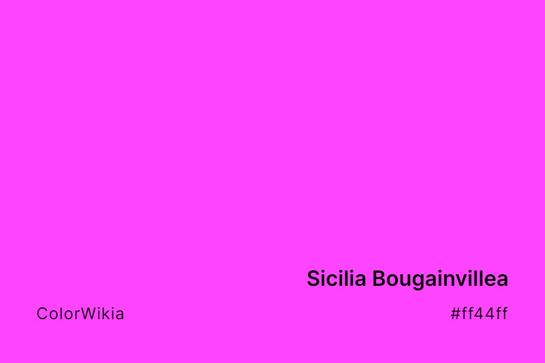 Sicilia Bougainvillea Color – #ff44ff: Codes and Complete Breakdown