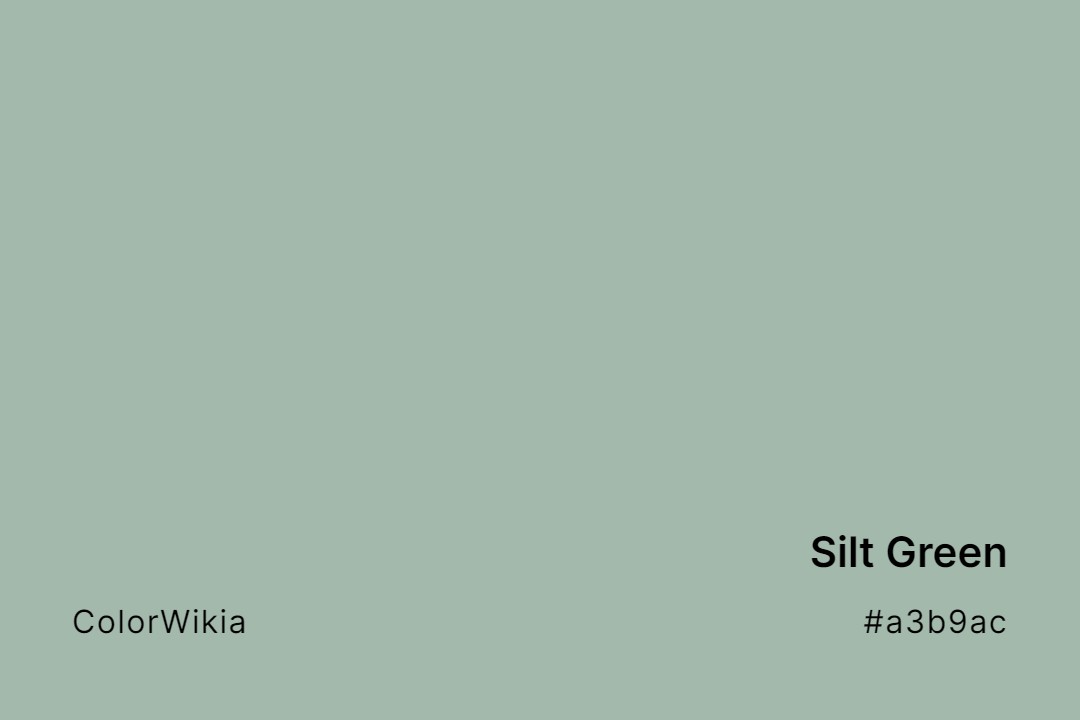 Silt Green Color – #a3b9ac: Codes and Complete Breakdown