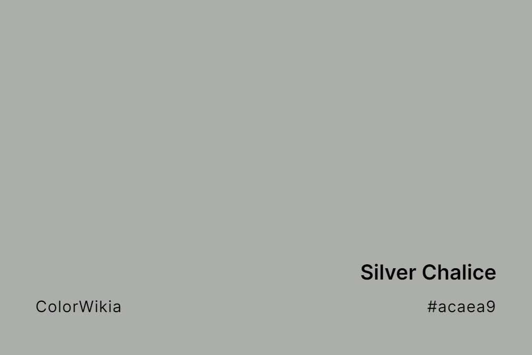 silver chalice color acaea9