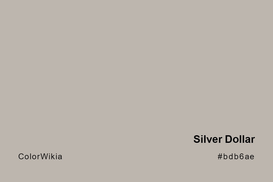 Silver Dollar Color – #bdb6ae: Codes and Complete Breakdown