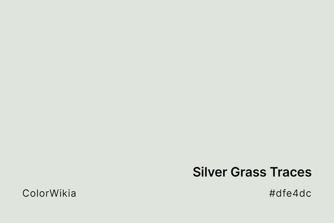 Silver Grass Traces Color – #dfe4dc: Codes and Complete Breakdown