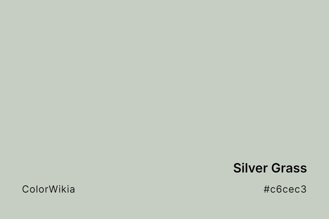 Silver Grass Color – #c6cec3: Codes and Complete Breakdown