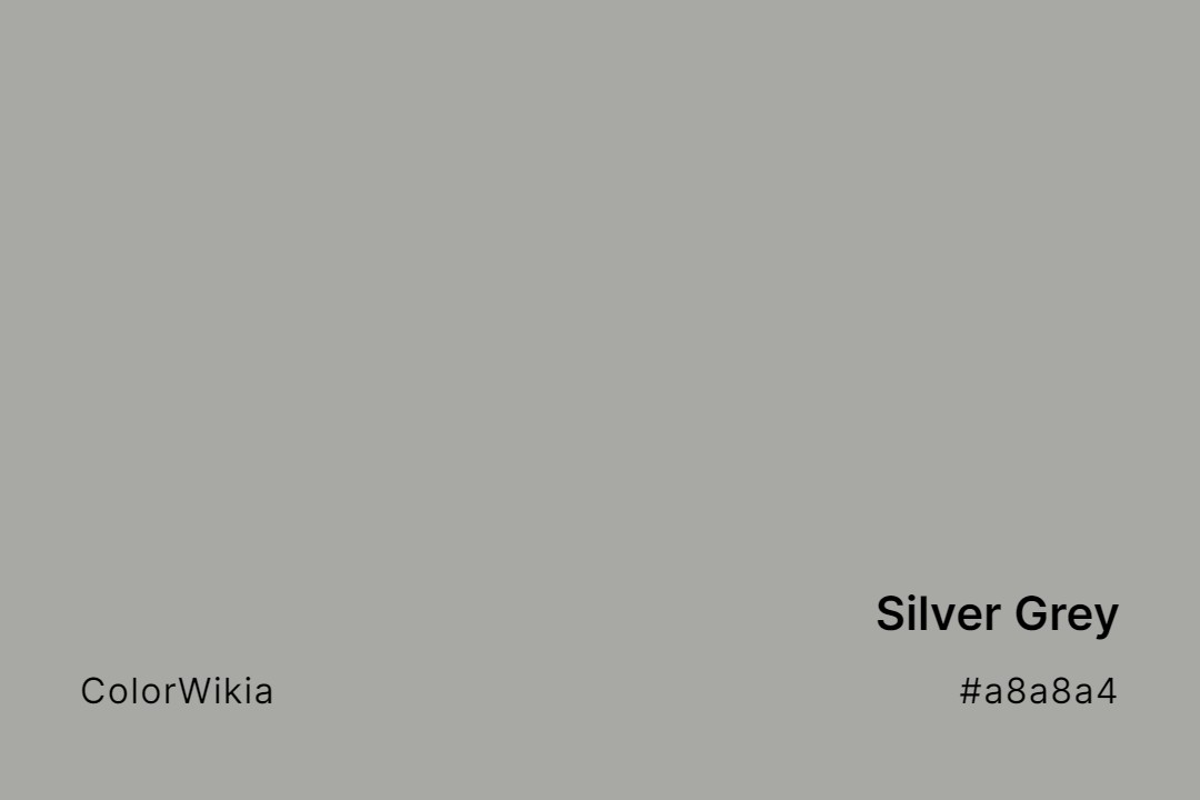 Silver Grey Color – #a8a8a4: Codes and Complete Breakdown