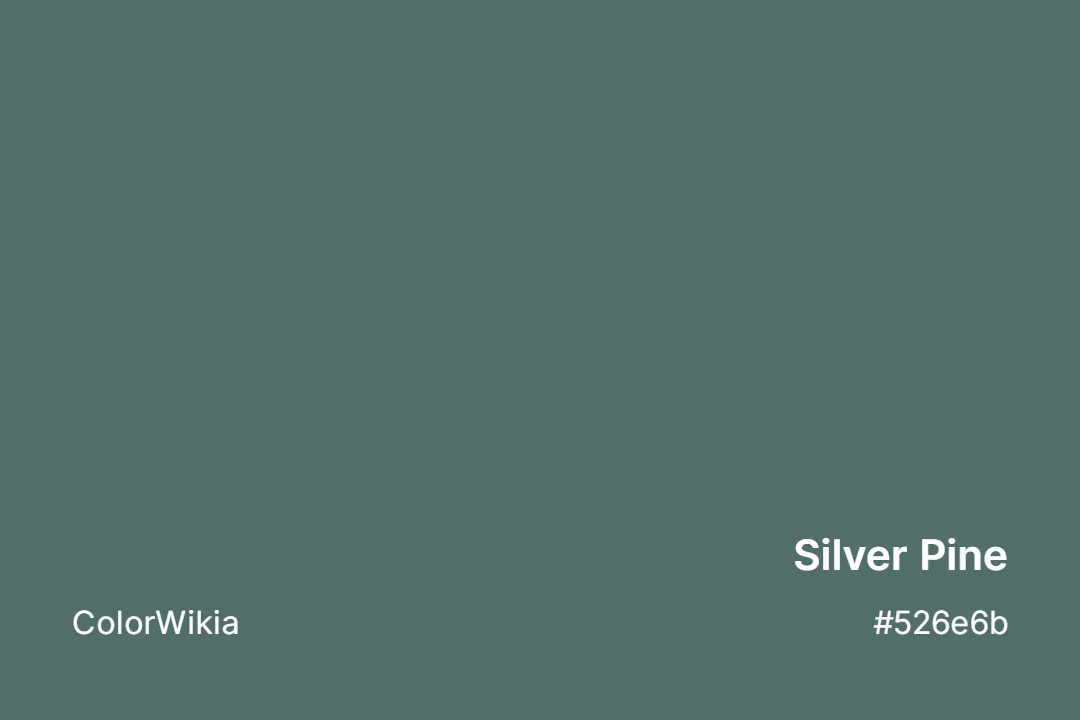 Silver Pine Color – #526e6b: Codes and Complete Breakdown