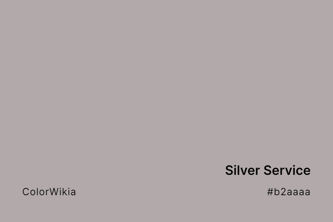 Silver Service Color – #b2aaaa: Codes and Complete Breakdown