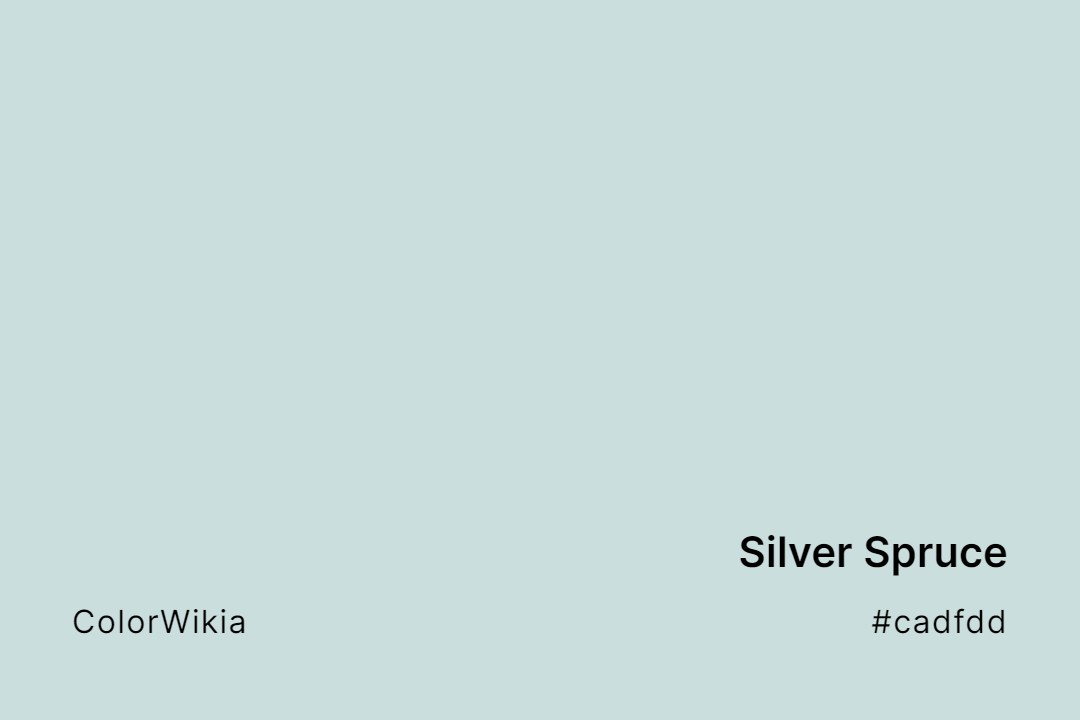 Silver Spruce Color – #cadfdd: Codes and Complete Breakdown