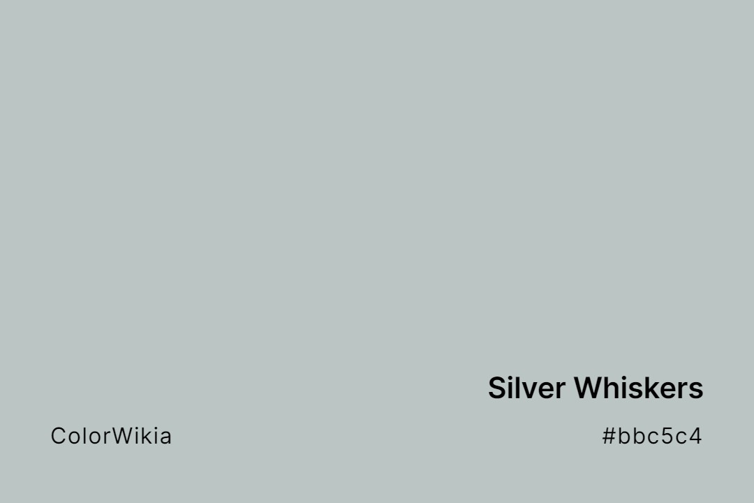 silver whiskers color bbc5c4