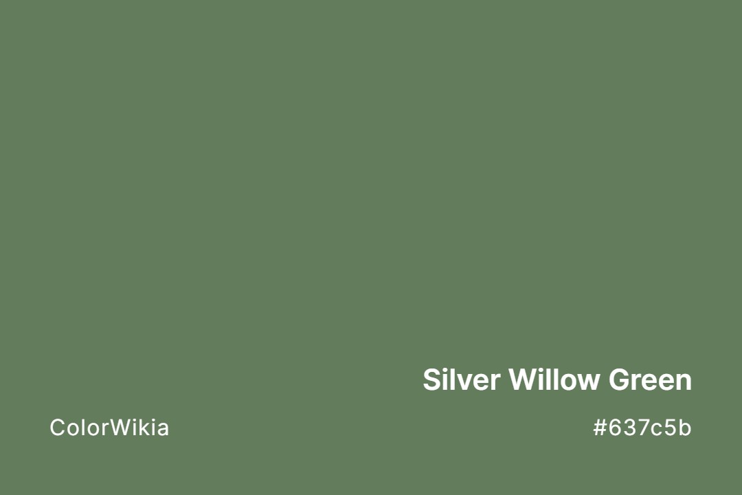 Silver Willow Green Color – #637c5b: Codes and Complete Breakdown