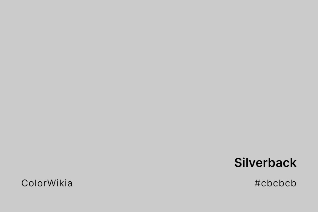 Silverback Color – #cbcbcb: Codes and Complete Breakdown