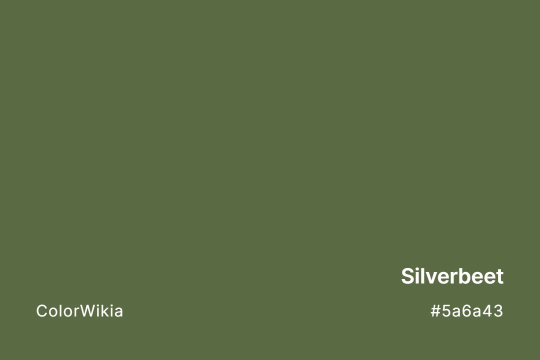 Silverbeet Color – #5a6a43: Codes and Complete Breakdown