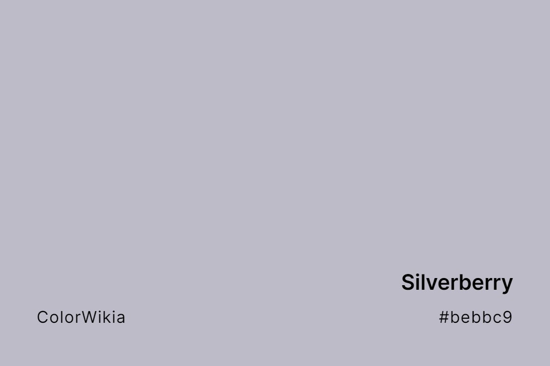Silverberry Color – #bebbc9: Codes and Complete Breakdown