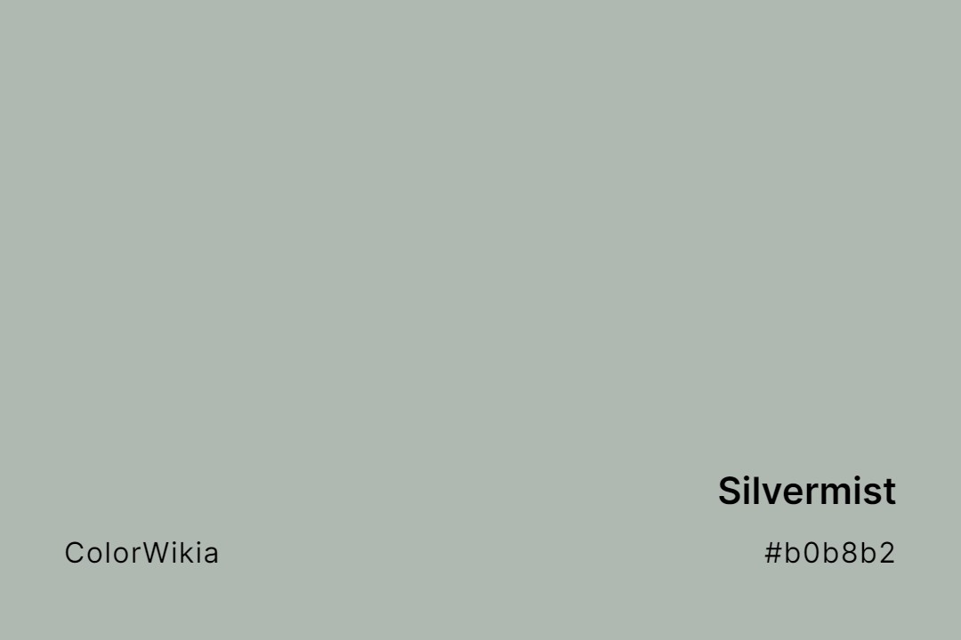 Silvermist Color – #b0b8b2: Codes and Complete Breakdown