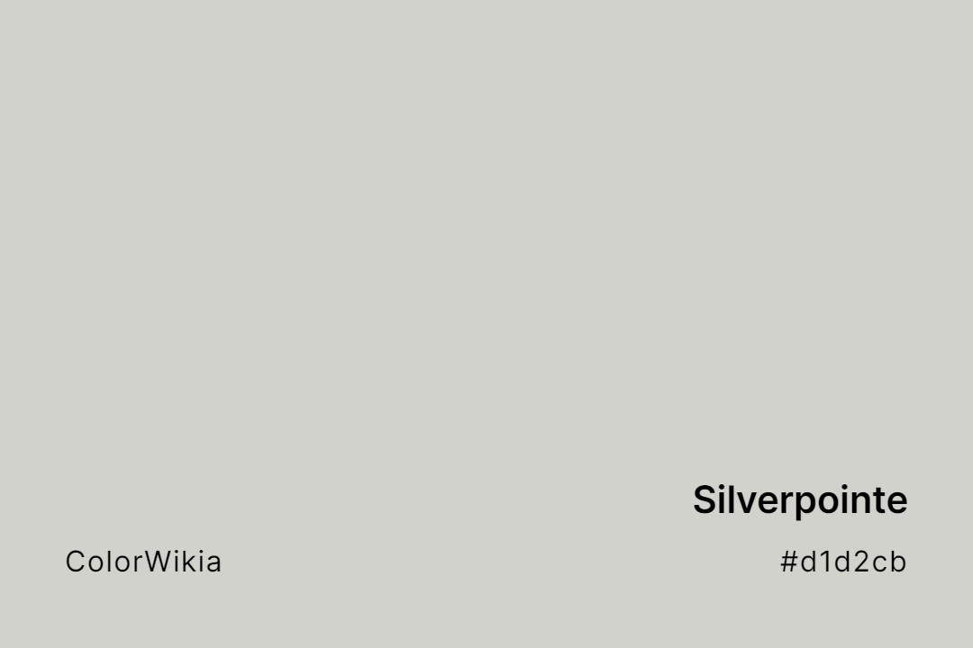Silverpointe Color – #d1d2cb: Codes and Complete Breakdown