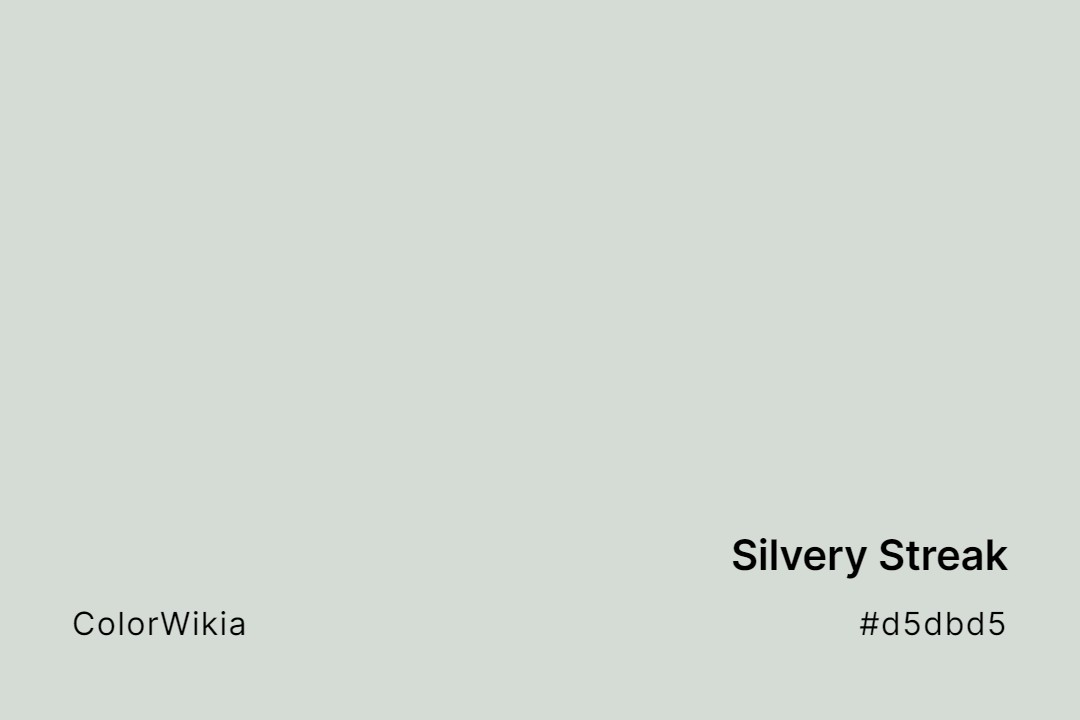 Silvery Streak Color – #d5dbd5: Codes and Complete Breakdown