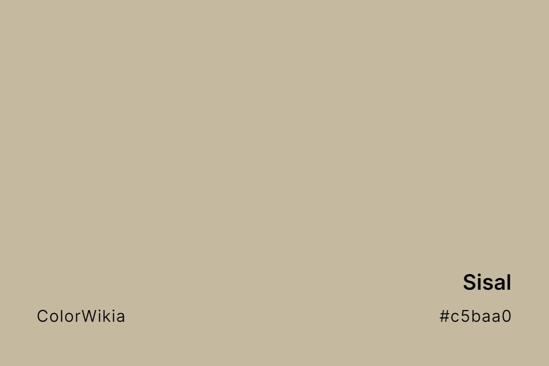 Sisal Color – #c5baa0: Codes and Complete Breakdown