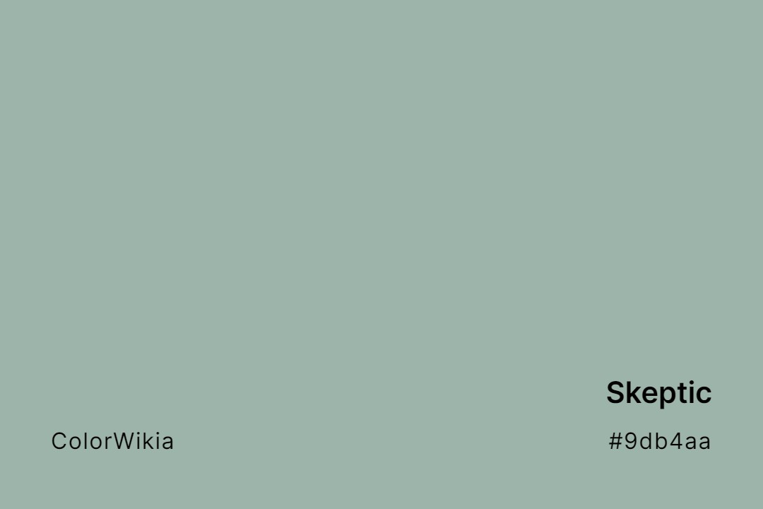 Skeptic Color – #9db4aa: Codes and Complete Breakdown