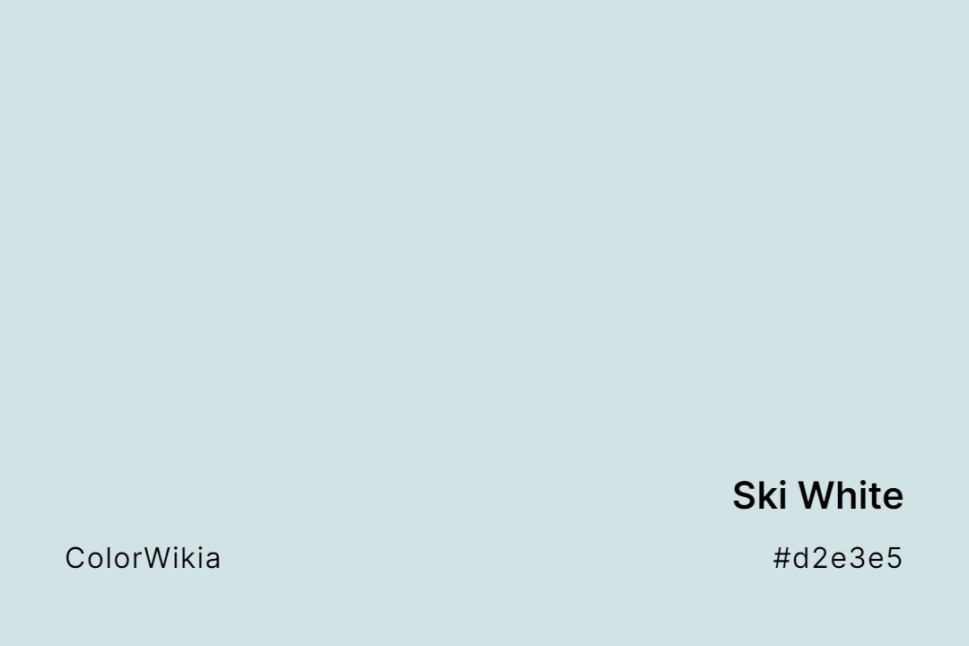 ski white color d2e3e5