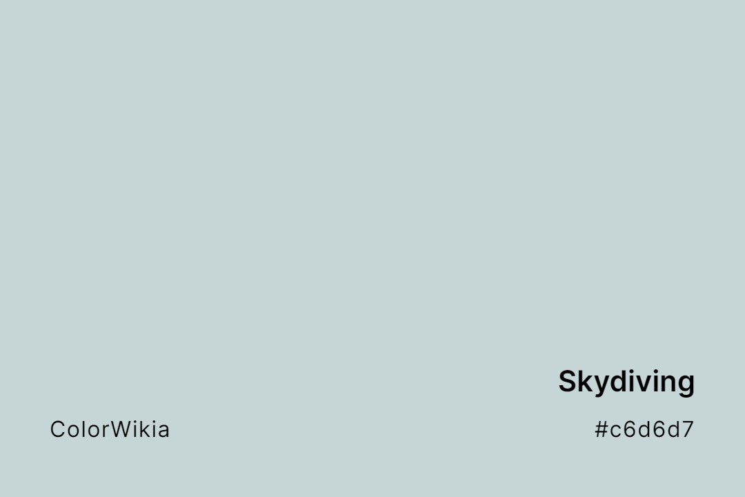 Skydiving Color – #c6d6d7: Codes and Complete Breakdown