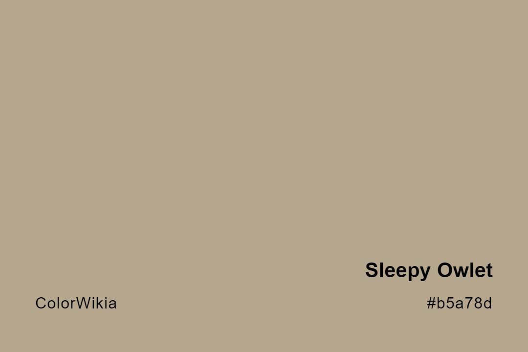 Sleepy Owlet Color – #b5a78d: Codes and Complete Breakdown