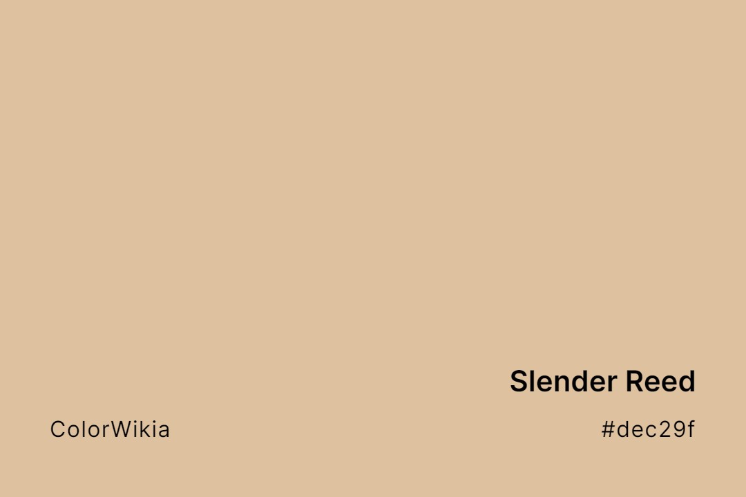 Slender Reed Color – #dec29f: Codes and Complete Breakdown