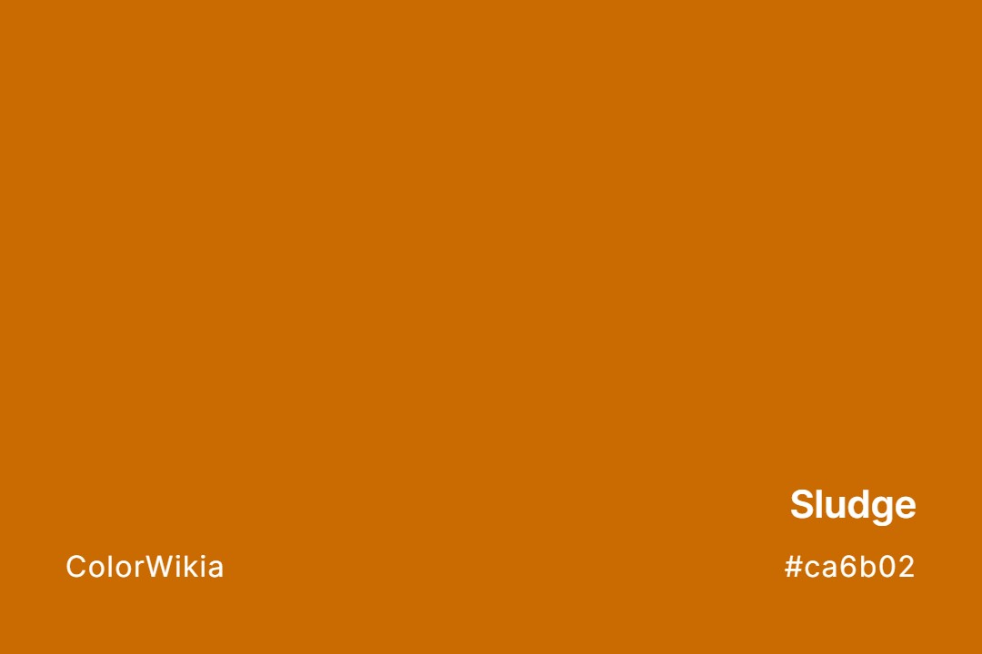 Sludge Color – #ca6b02: Codes and Complete Breakdown