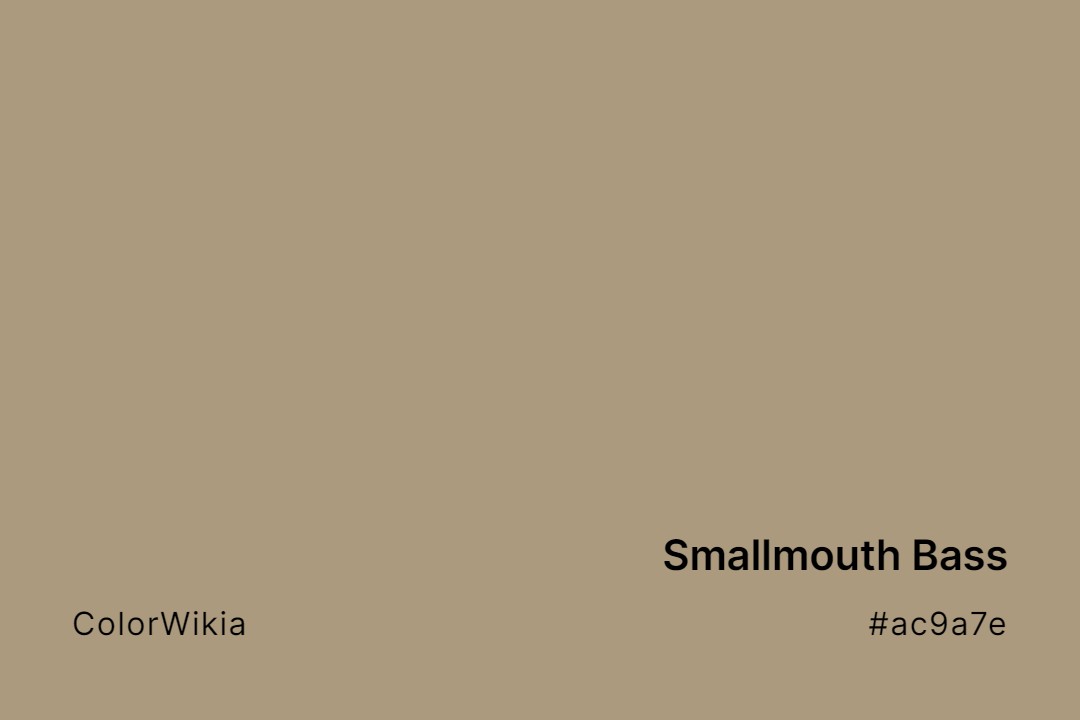 Smallmouth Bass Color – #ac9a7e: Codes and Complete Breakdown