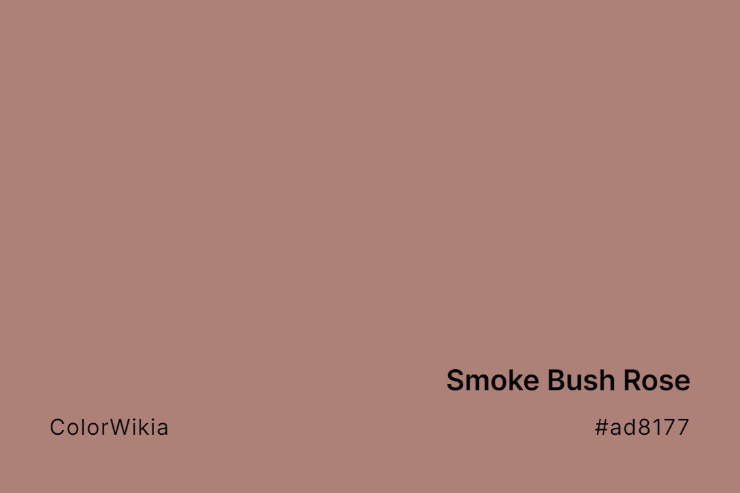 smoke bush rose color ad8177