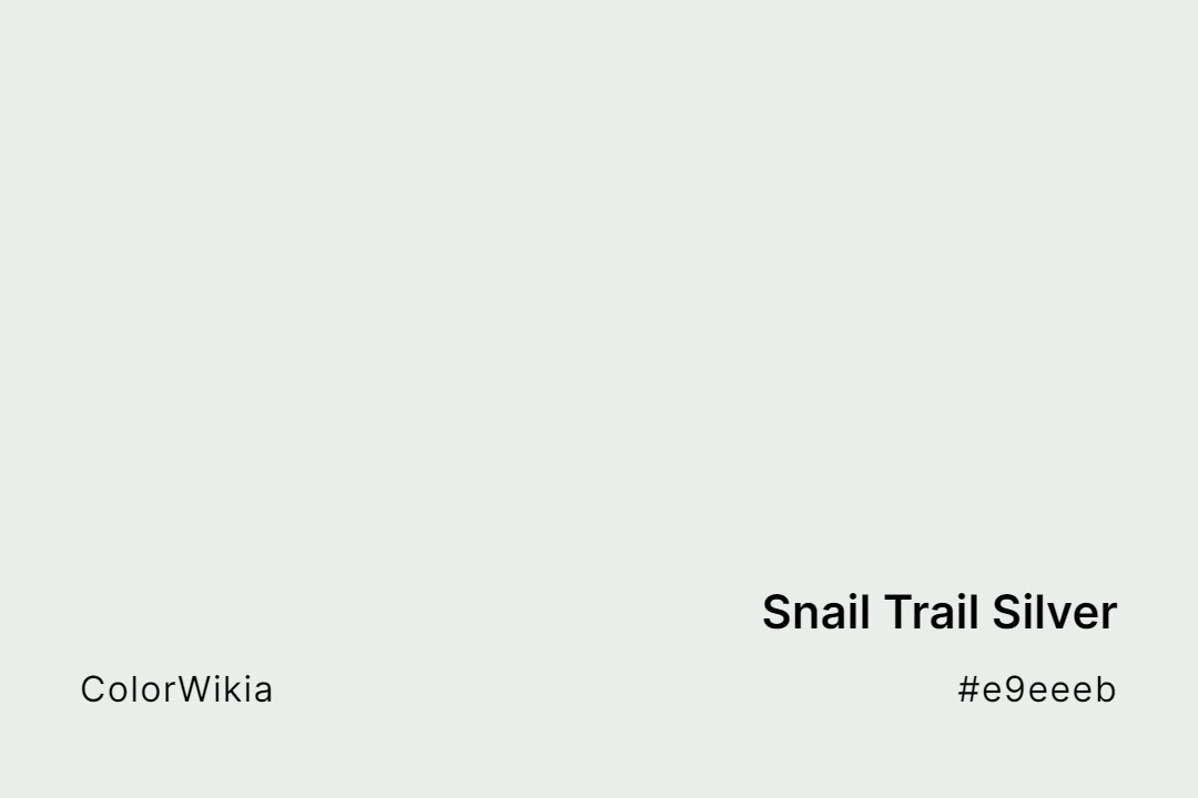 Snail Trail Silver Color – #e9eeeb: Codes and Complete Breakdown