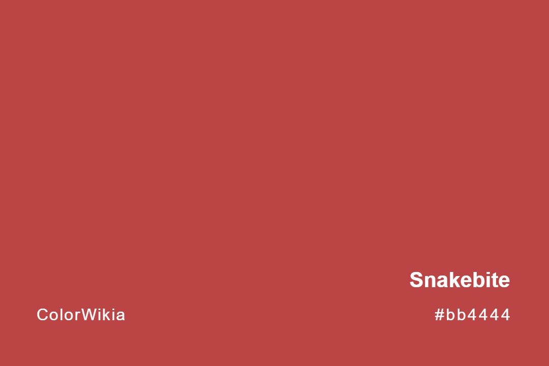Snakebite Color – #bb4444: Codes and Complete Breakdown