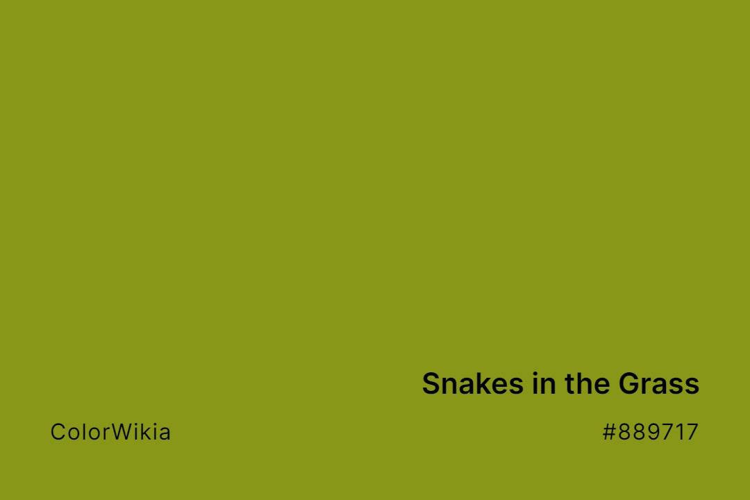 Snakes in the Grass Color – #889717: Codes and Complete Breakdown