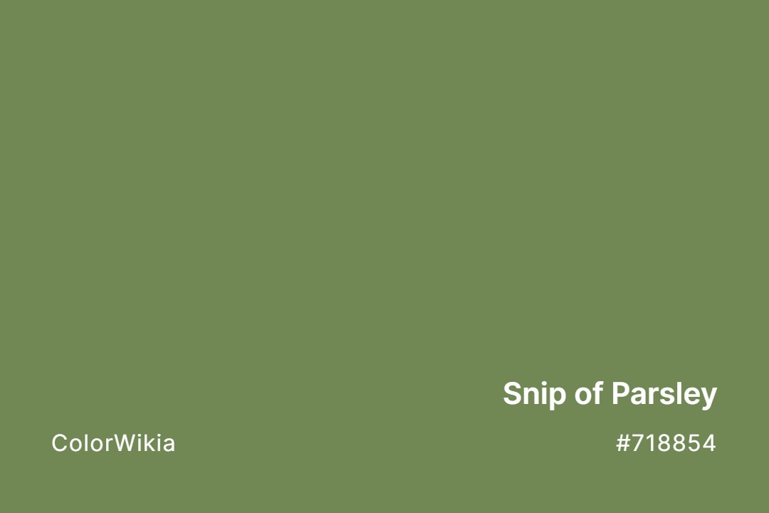 Snip of Parsley Color – #718854: Codes and Complete Breakdown