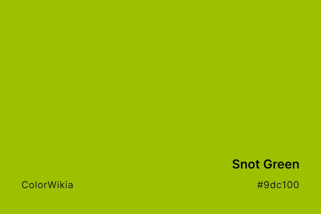 Snot Green Color – #9dc100: Codes and Complete Breakdown