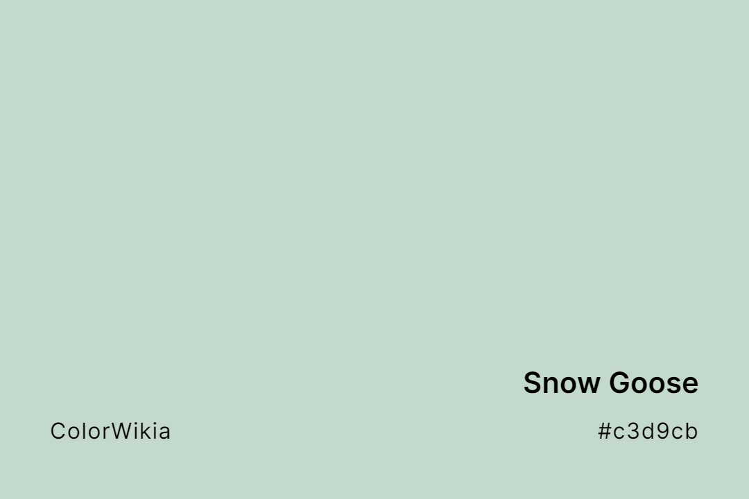 Snow Goose Color – #c3d9cb: Codes and Complete Breakdown