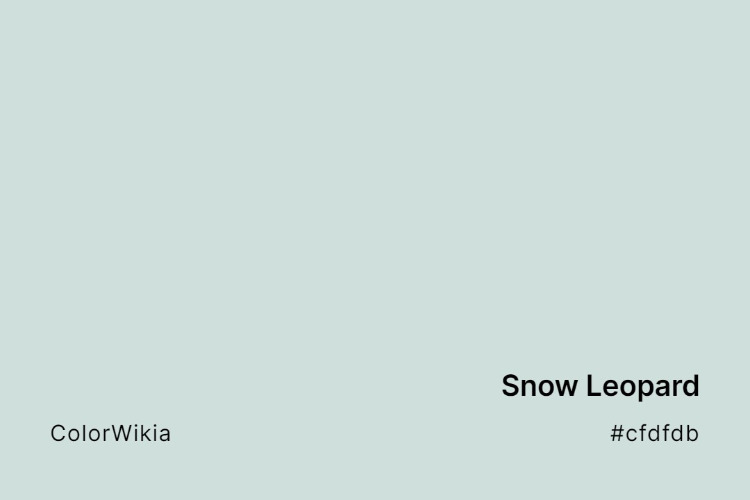 Snow Leopard Color – #cfdfdb: Codes and Complete Breakdown
