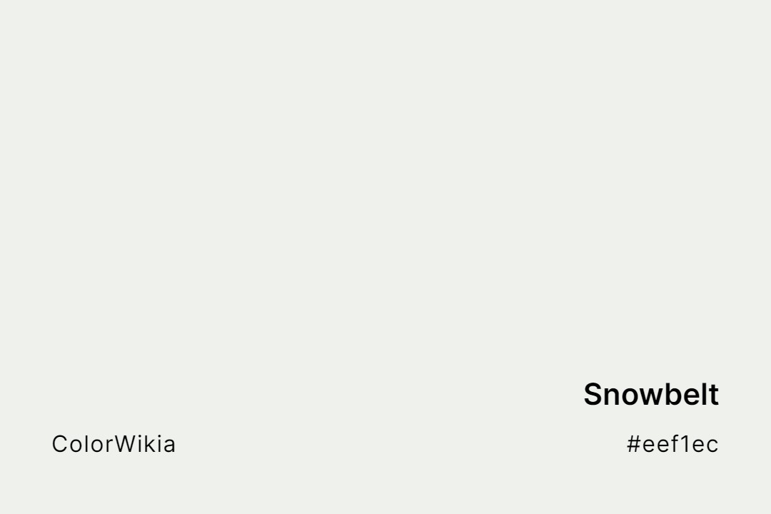 Snowbelt Color – #eef1ec: Codes and Complete Breakdown