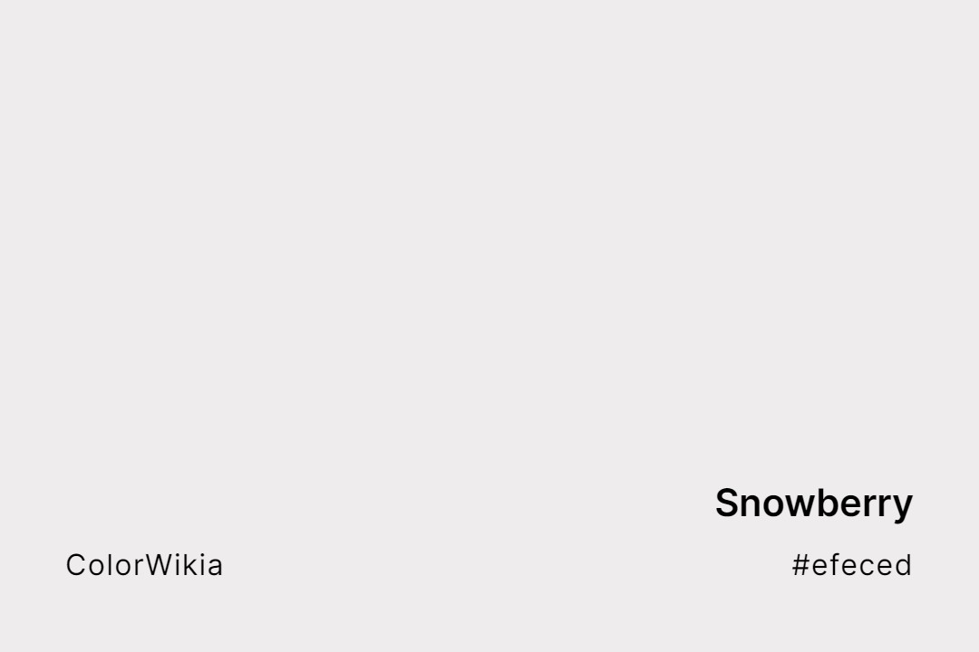 Snowberry Color – #efeced: Codes and Complete Breakdown