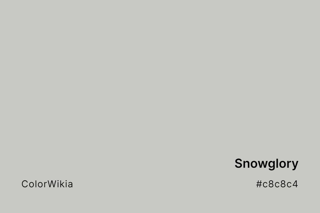 Snowglory Color – #c8c8c4: Codes and Complete Breakdown