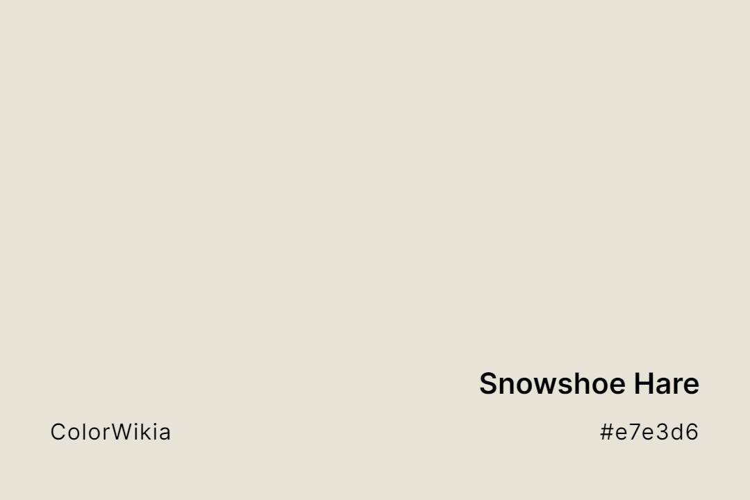 Snowshoe Hare Color – #e7e3d6: Codes and Complete Breakdown