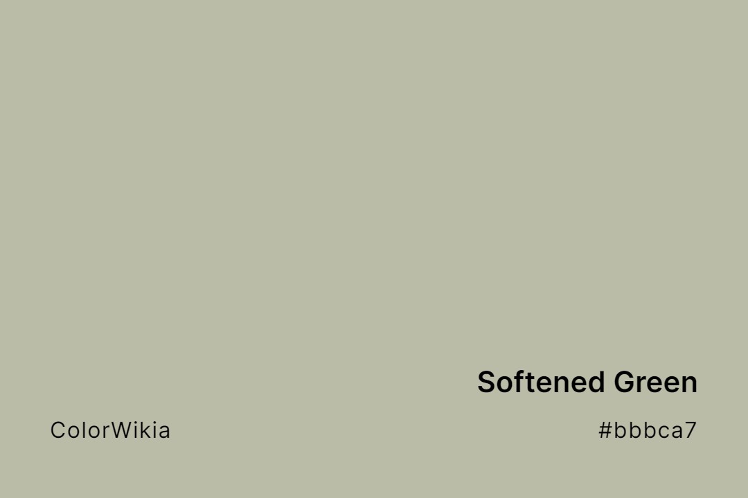 Softened Green Color – #bbbca7: Codes and Complete Breakdown
