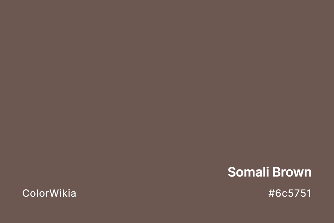 Somali Brown Color – #6c5751: Codes and Complete Breakdown
